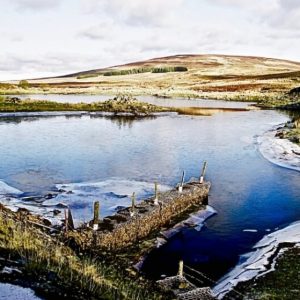 Broadlands