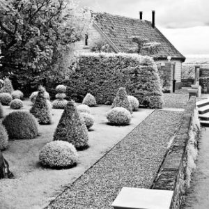Hedge sculpturing Infra Red