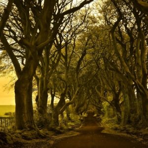 Ireland